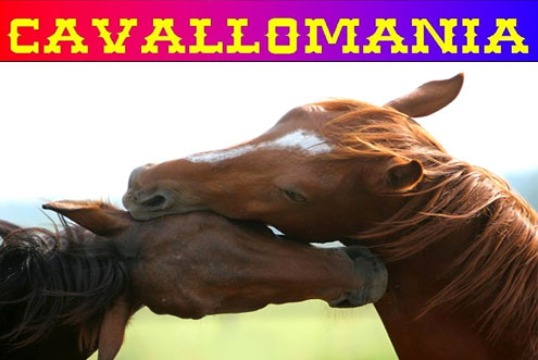 CavalloMania