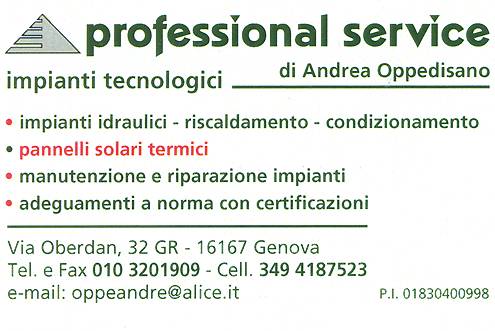 Professional Service